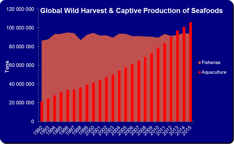 Aquaculture Innovations - Aquaculture in South Africa